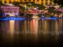 P. David Miller