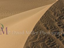 P. David Miller
