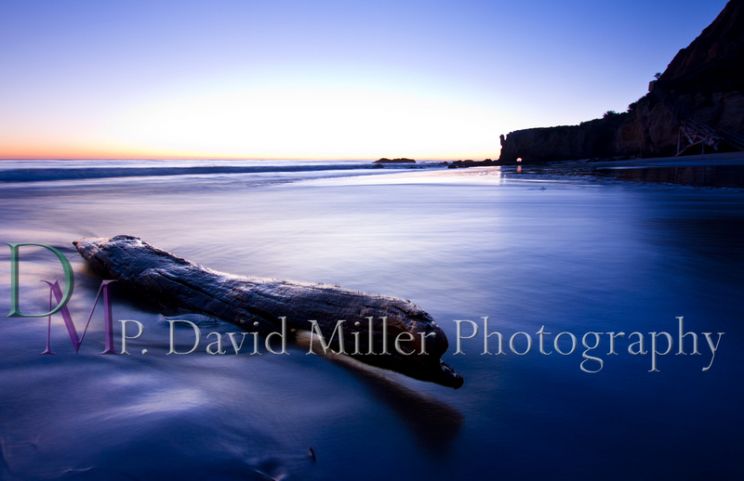 P. David Miller