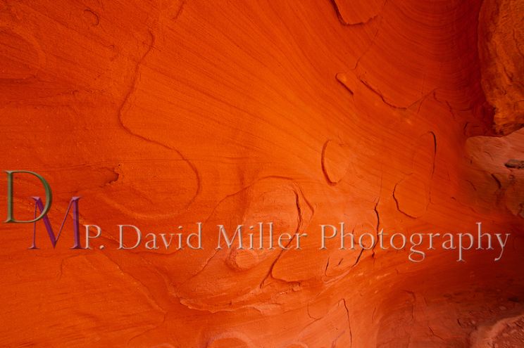 P. David Miller