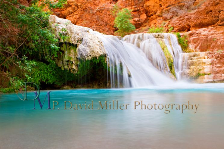 P. David Miller