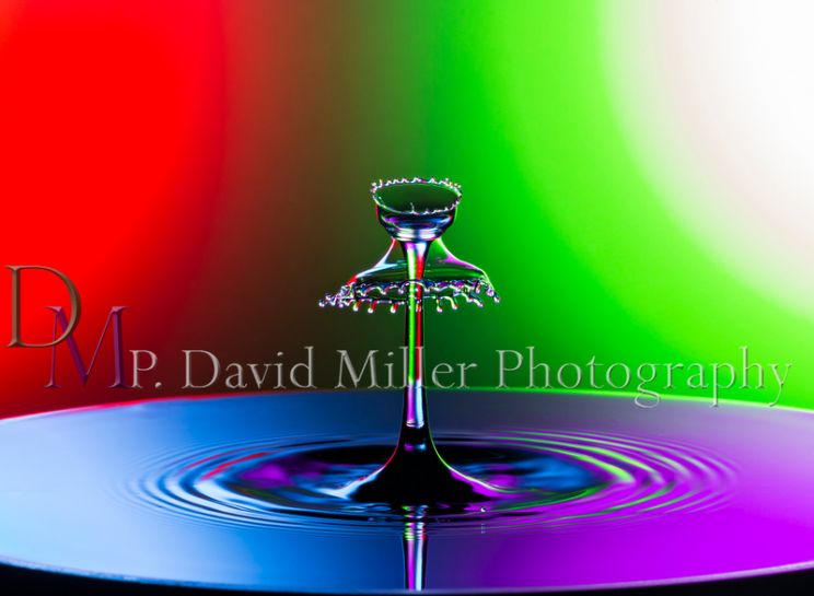 P. David Miller