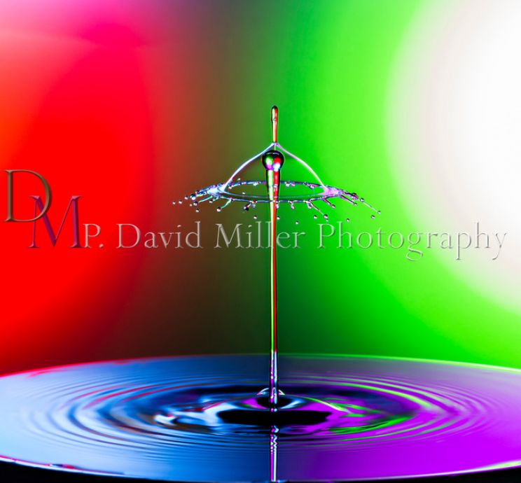 P. David Miller