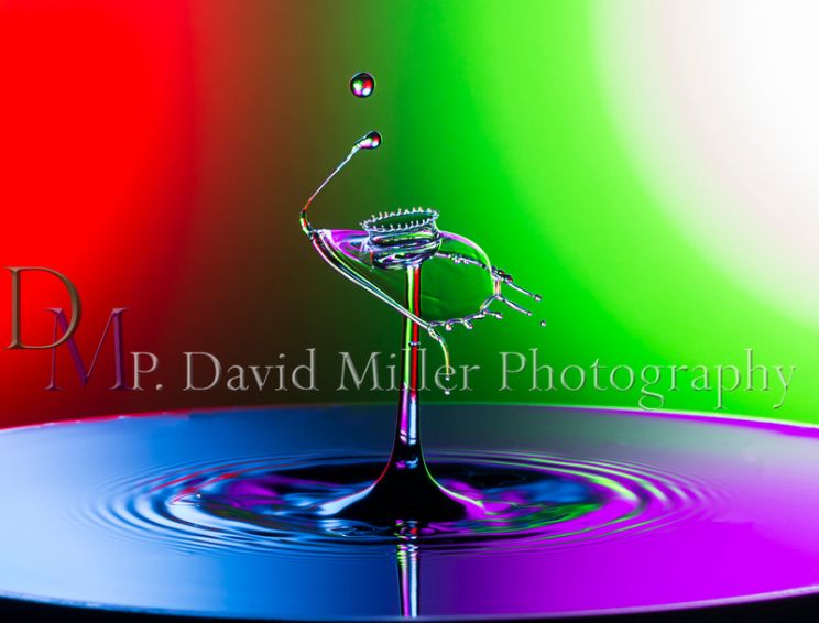 P. David Miller