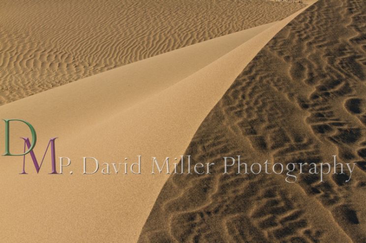 P. David Miller