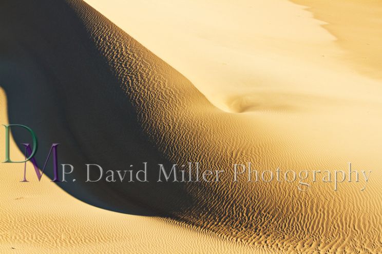 P. David Miller