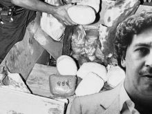 Pablo Escobar #2594341 picture (Landscape Medium)