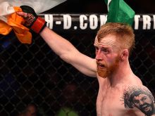 Paddy Houlihan