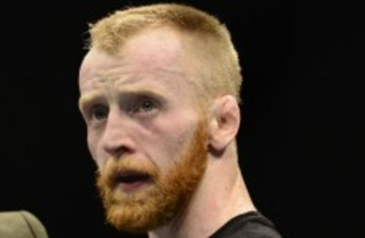 Paddy Houlihan