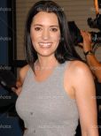 Paget Brewster