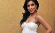 Pallavi Sharda