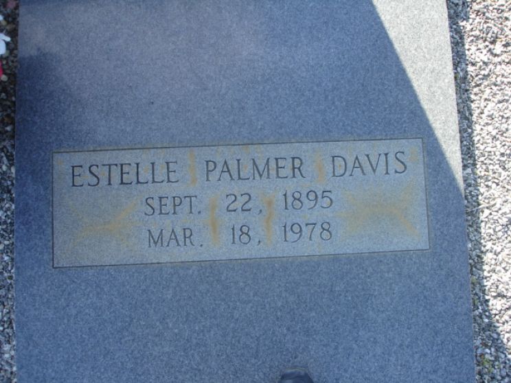 Palmer Davis