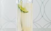 Paloma