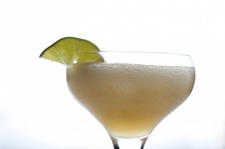 Paloma
