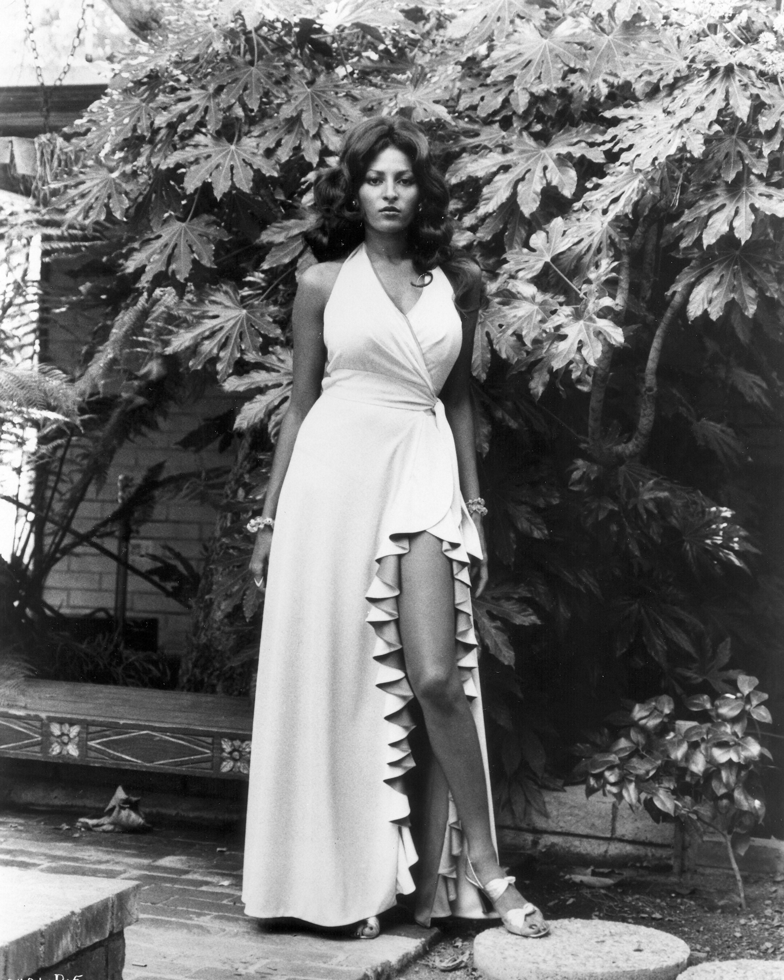 Pictures of Pam Grier