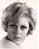 Pam Rose