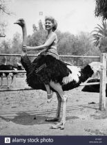 Pamela Blake