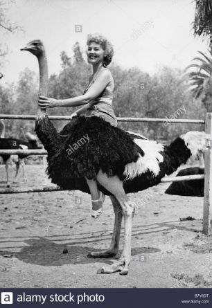 Pamela Blake