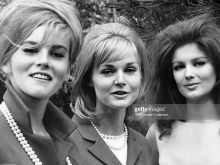 Pamela Tiffin photo