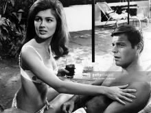 Pamela Tiffin photo