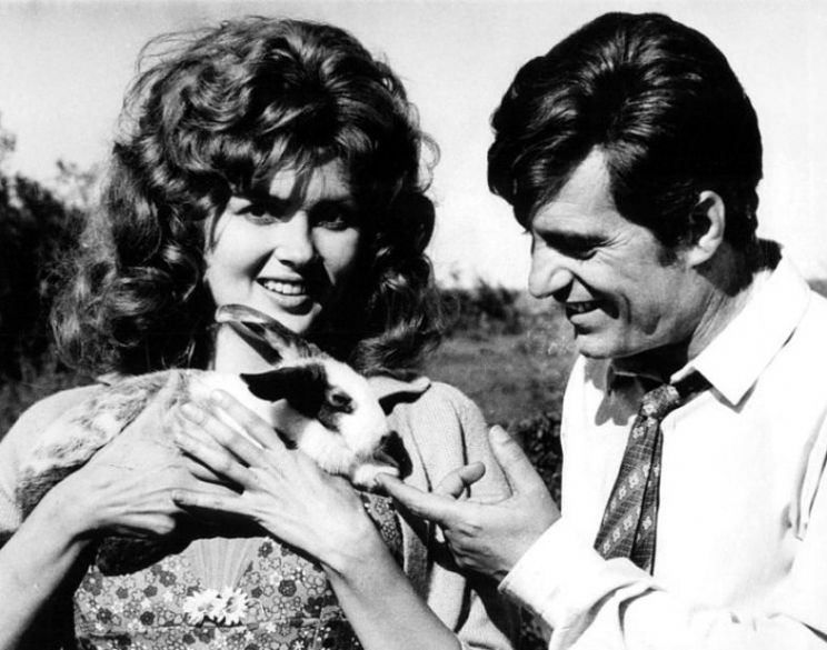 Pamela Tiffin