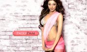 Paoli Dam