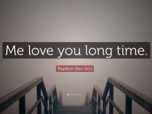 Papillon Soo photo