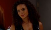 Parisa Fitz-Henley