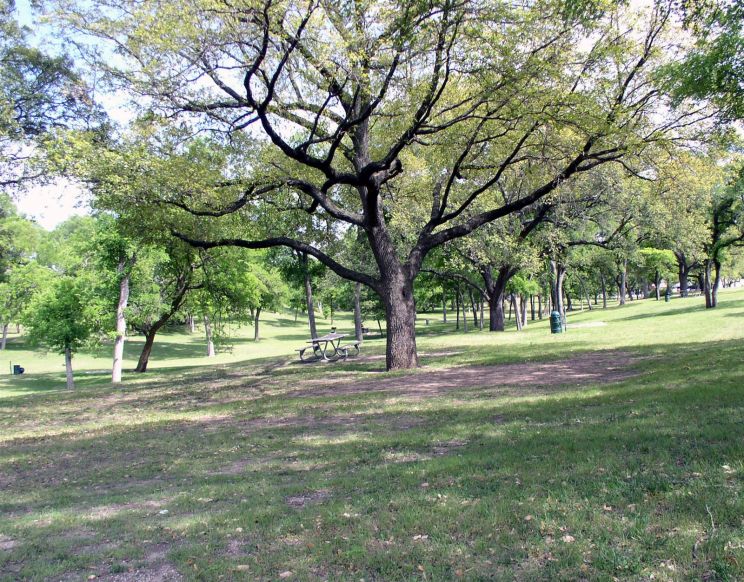 Park Overall