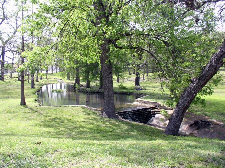 Park Overall