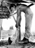Patrick Wayne