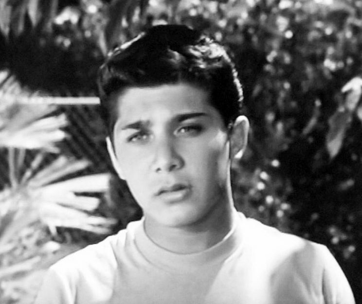Paul Anka