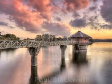 Paul Blackwell