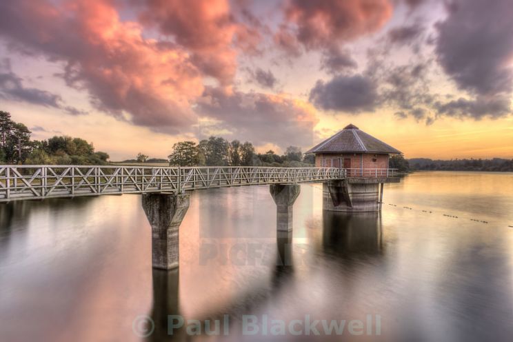 Paul Blackwell