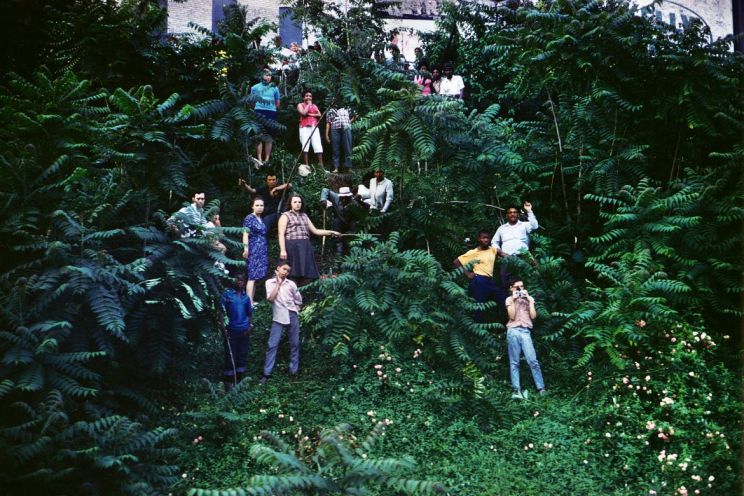 Paul Fusco