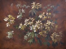 Paul Gunn