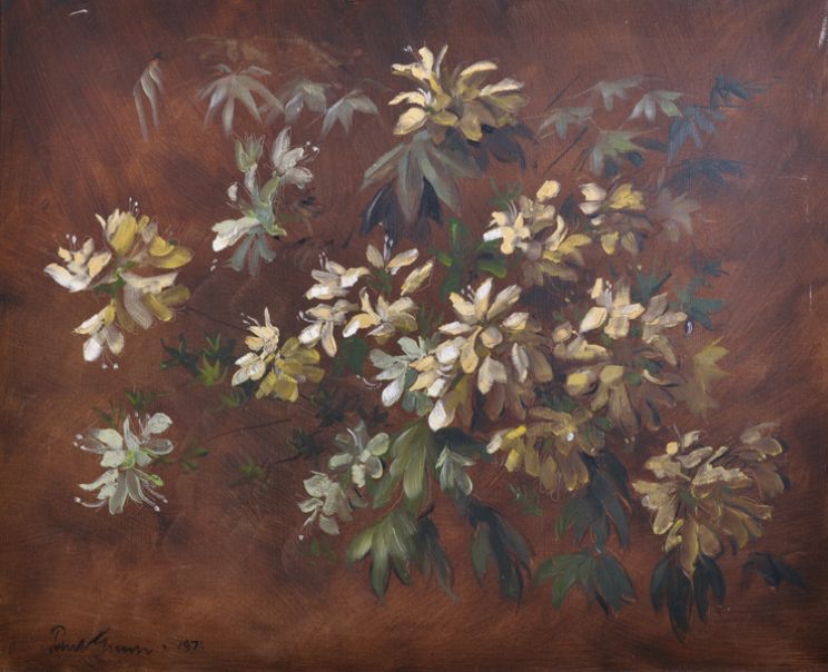 Paul Gunn