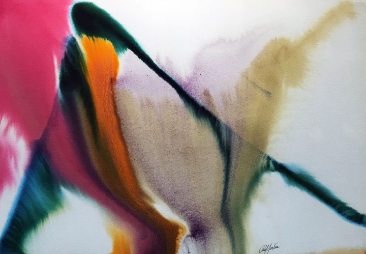 Paul Jenkins