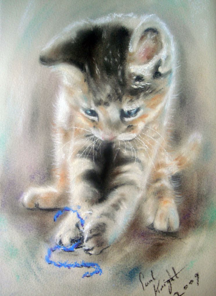 Paul Knight