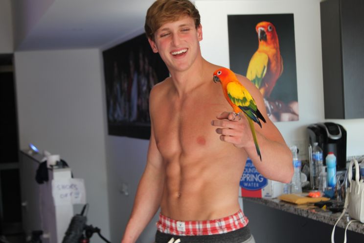 Paul Logan