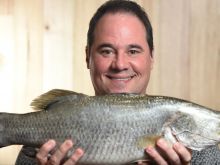 Paul Mercurio