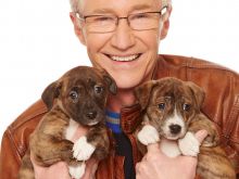 Paul O'Grady