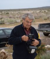 Paul Picerni