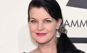 Pauley Perrette