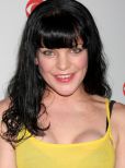 Pauley Perrette