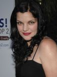 Pauley Perrette