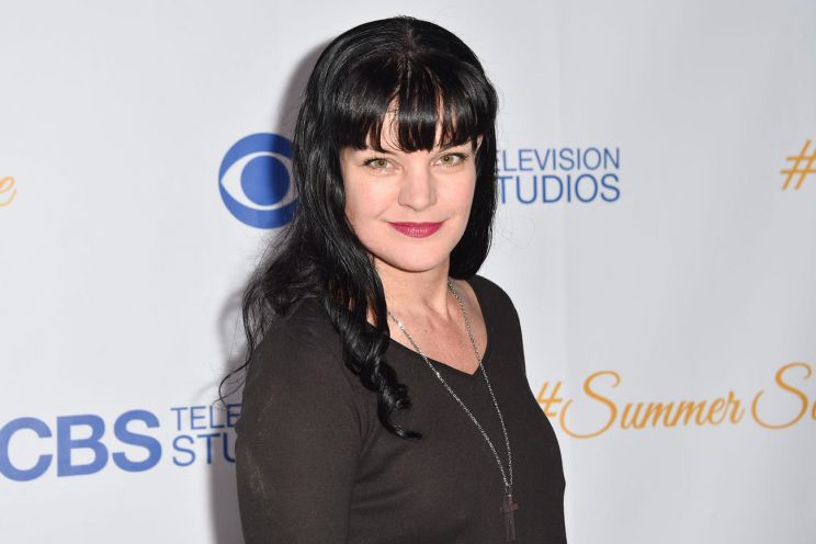 Pauley Perrette