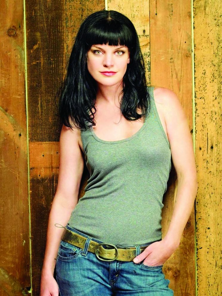 Browse and download High Resolution Pauley Perrette's pictures