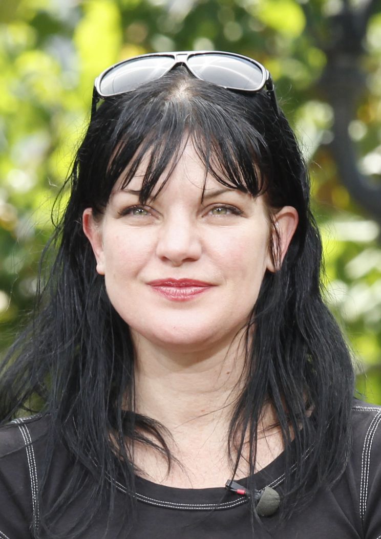 Pauley Perrette