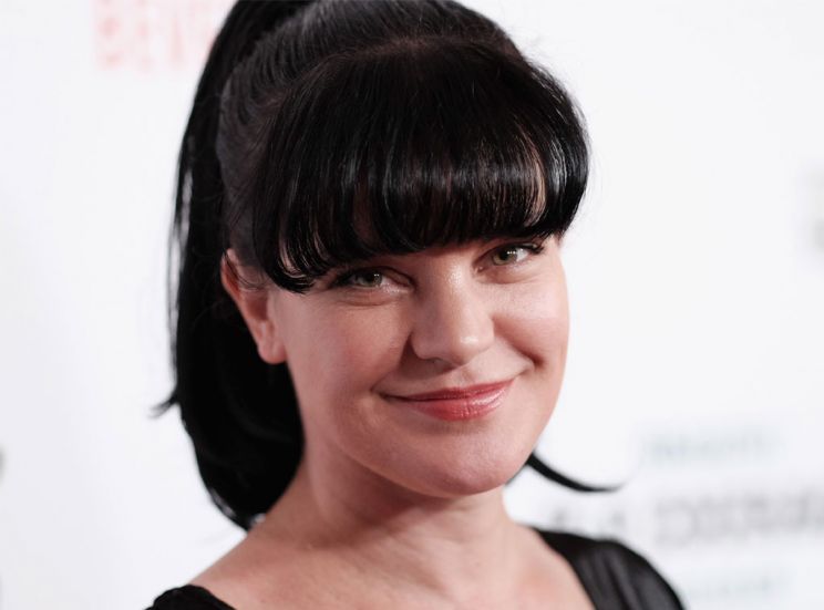 Pauley Perrette